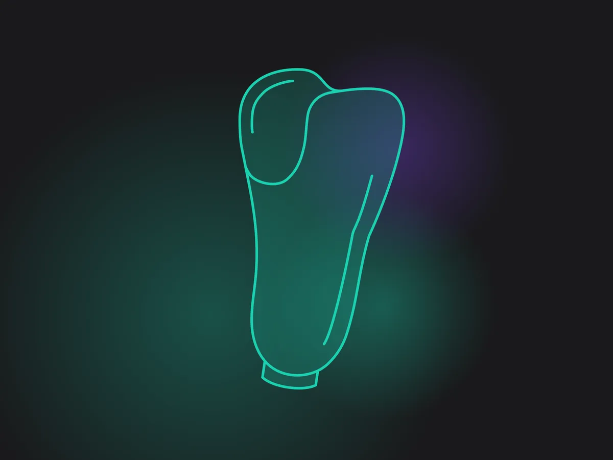 Prosthetic socket line illustration