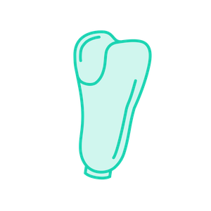 Prosthetic socket